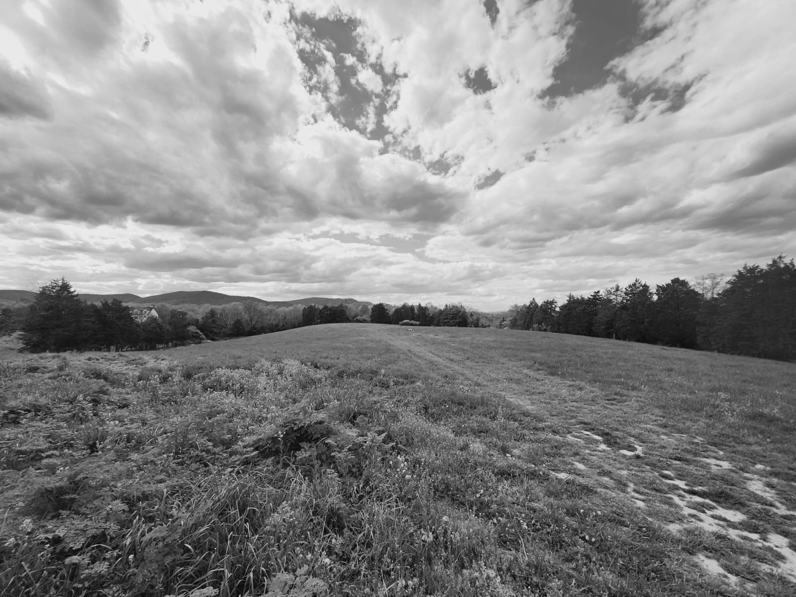 IMG-20240428-WA0023