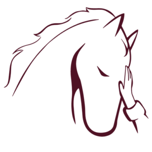 barrel-racing-camp